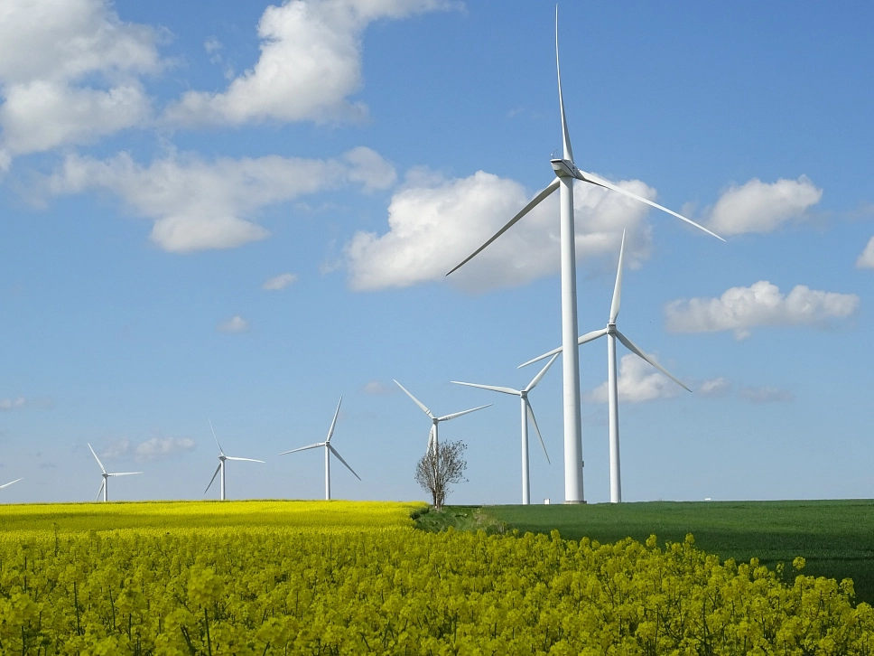 Windräder auf einem Rapsfeld&nbsp;&copy;&nbsp;Pixabay