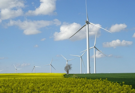 Windräder auf einem Rapsfeld